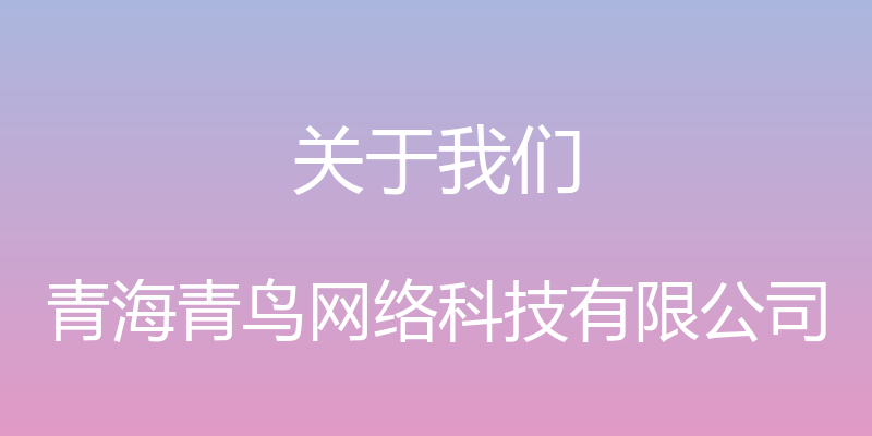 关于我们 - 青海青鸟网络科技有限公司